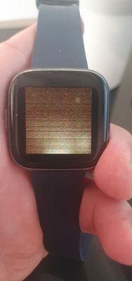 20250409_080842.jpg
