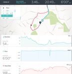 Run Fitbit Close.jpeg