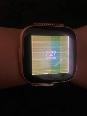 IMG_5110.jpeg