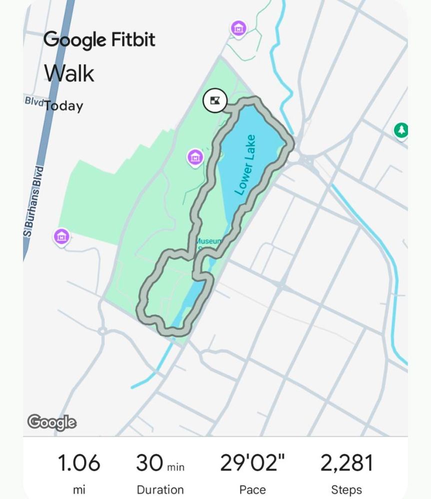fitbit.jpg