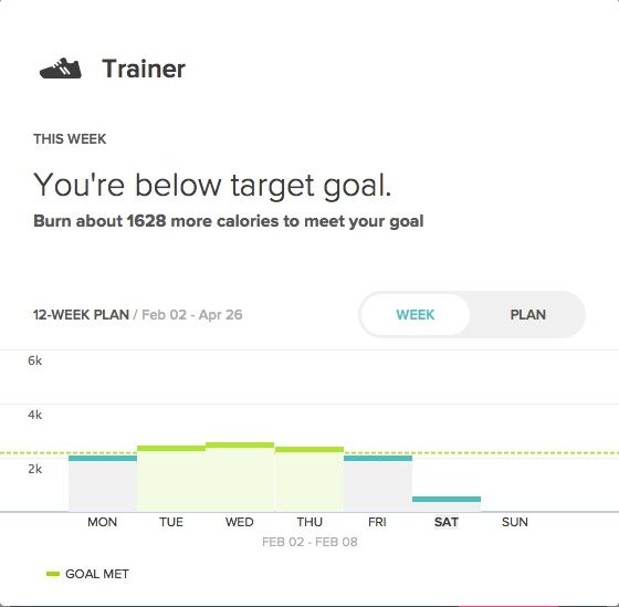 Trainer Quick View