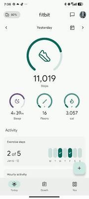 EstuardoFitbit_0-1749428885912.jpeg