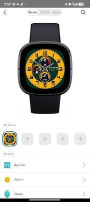 EstuardoFitbit_3-1749428888968.jpeg
