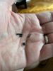 colle joint de l ecran