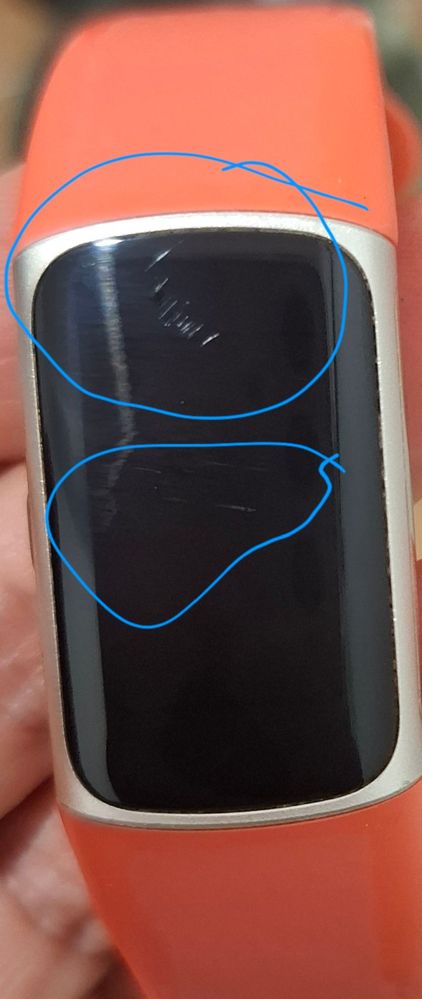 20250721_162113.jpg