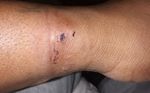 IMG_20250718_120802661.jpg