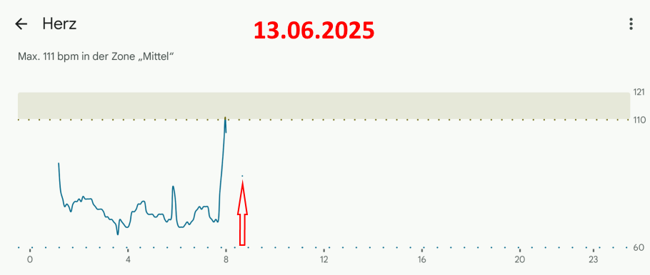 Fitbit-App_Juni_letzter-Tag_Herzfrequenz_quer.png