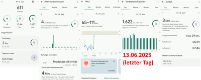 Fitbit-App_Juni_letzter-Tag_komplett.png