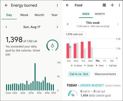 Energy Burn Aug 17 right.jpg