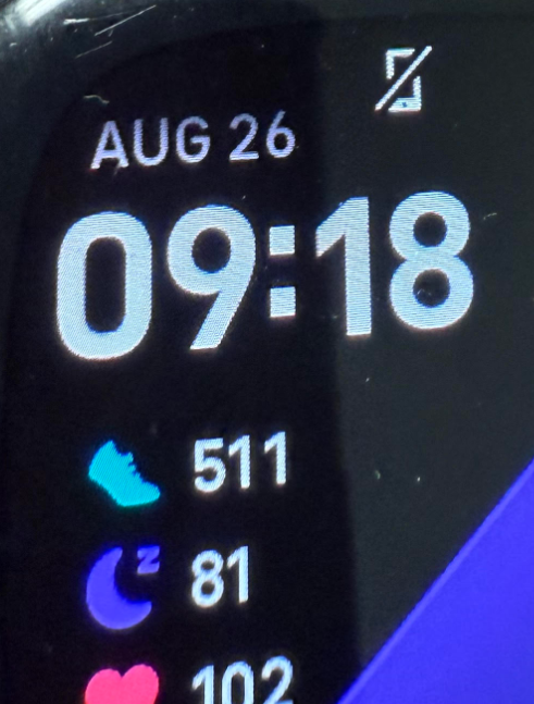 This symbol shows up on my fitbit