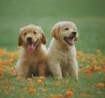 Öffentlich (omda123)