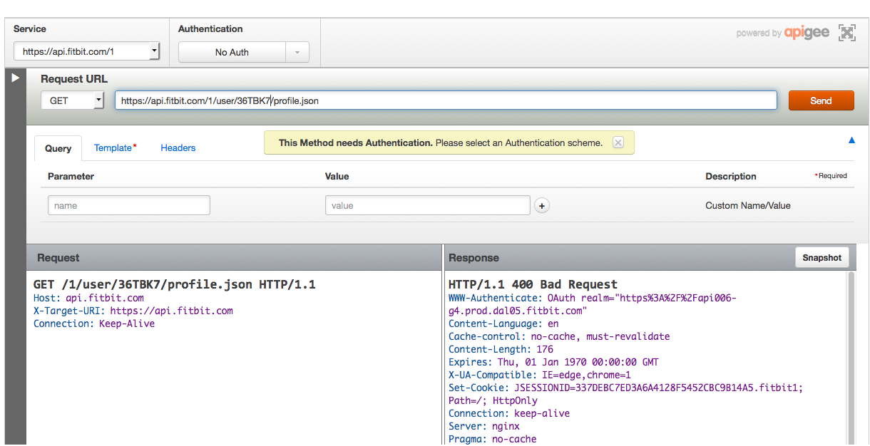 Screen shot of API explorer