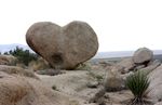 Heart-rock-8[1].jpg