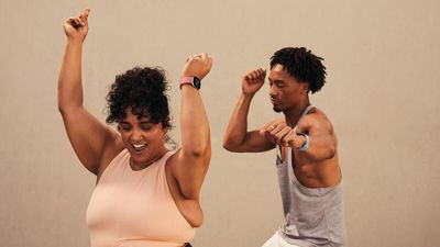 fitbitblog