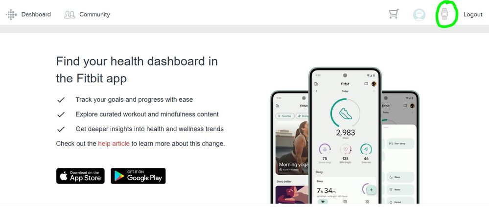 Fitbit1.JPG