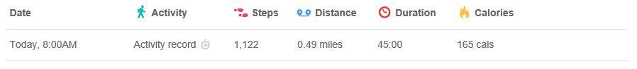 fitbit-activity.JPG