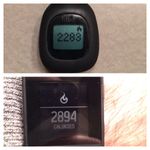 Zip and Surge Comparison