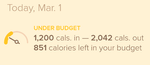 Calorie budget