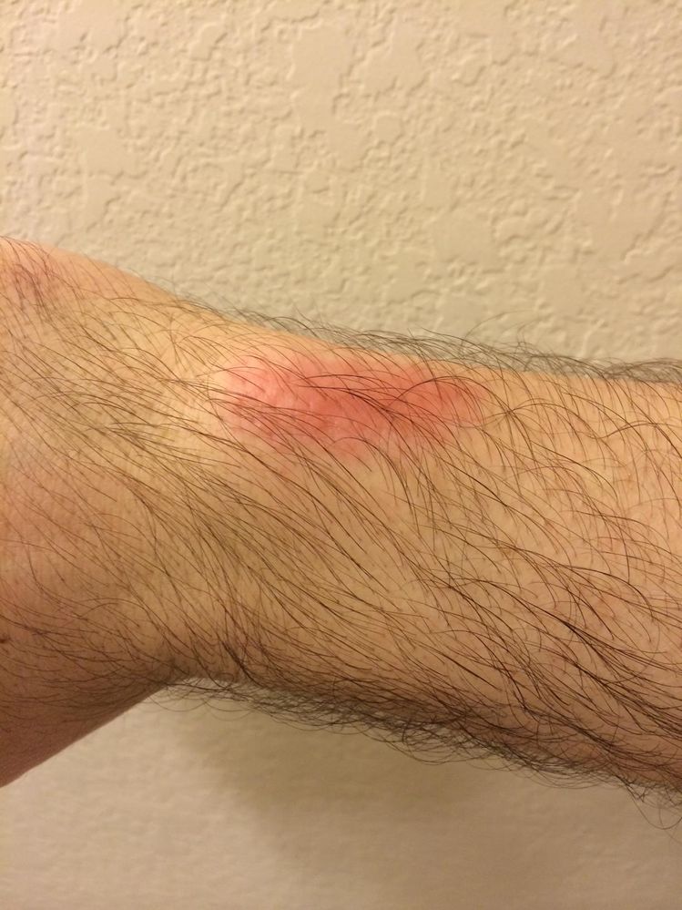 This appeared on Tuesday 1/14