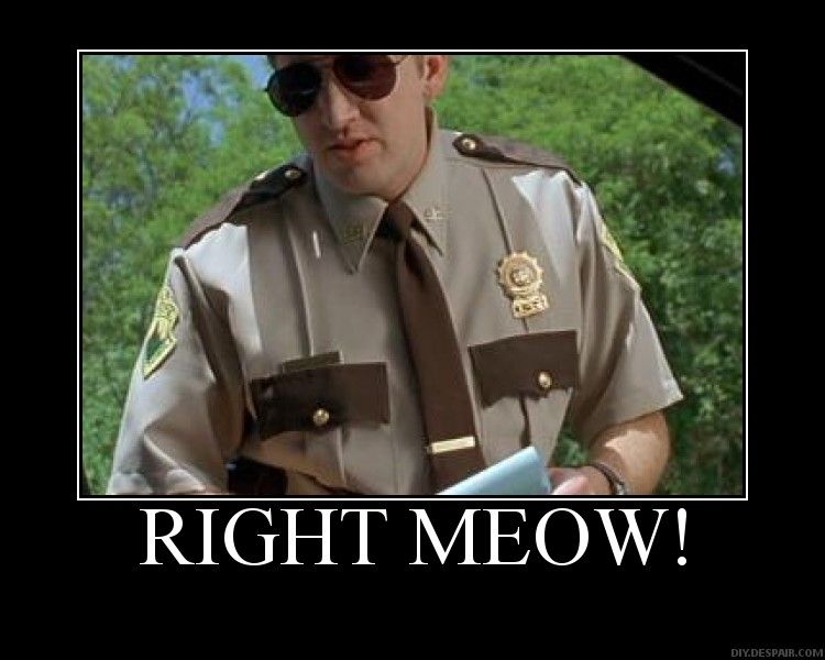 Meow
