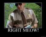 Meow