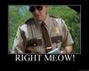 Meow