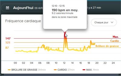 Tableau de bord Fitbit - Mozilla Firefox.jpg