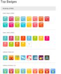 Badges.jpg