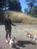 Amrita:dogs.jpg