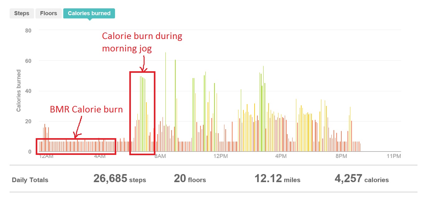 fitbit and calories burned
