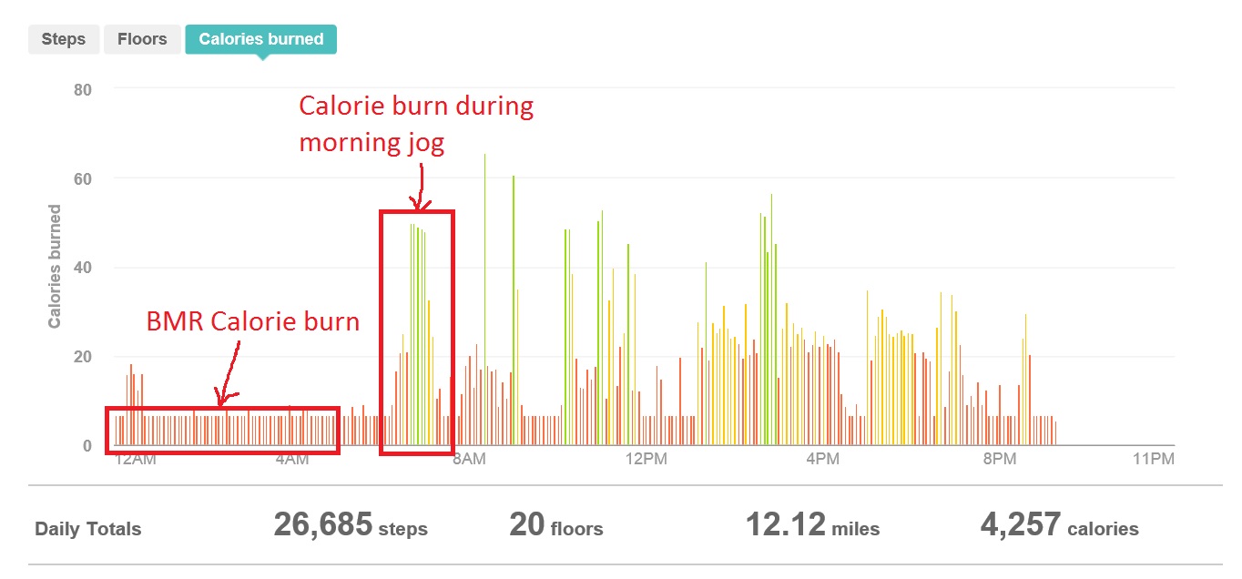 fitbit-calorieburn.jpg