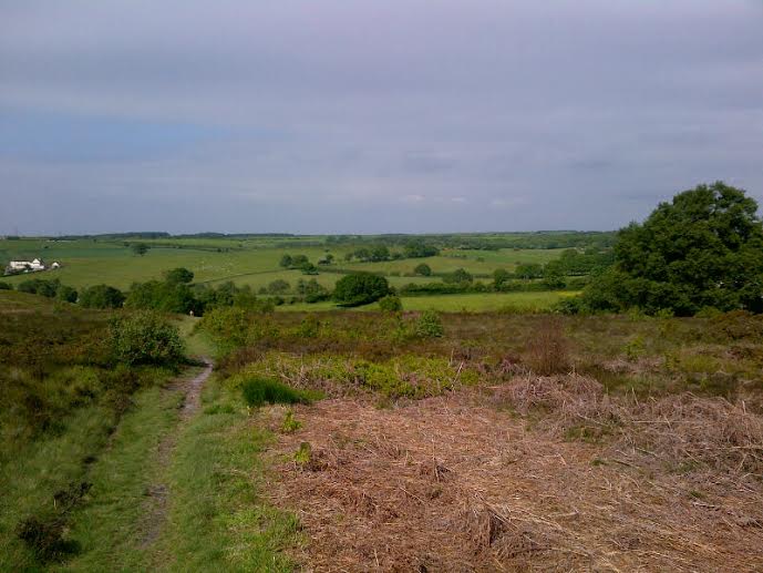 View on walk.jpg