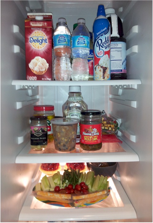 Fridge Setup