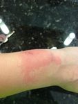 photo 2-2.JPG