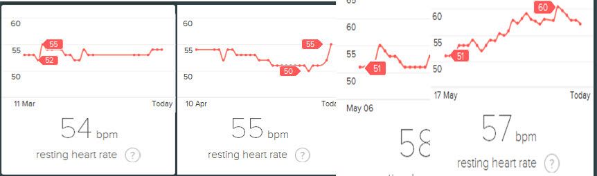 RHR 3 MONTHS.jpg