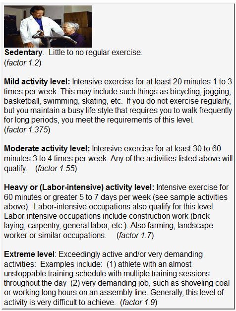 Factors x BMR.jpg