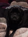 IMG_20130216_072932.jpg