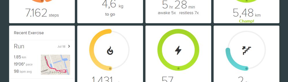 FitBit - Dashboard.jpg