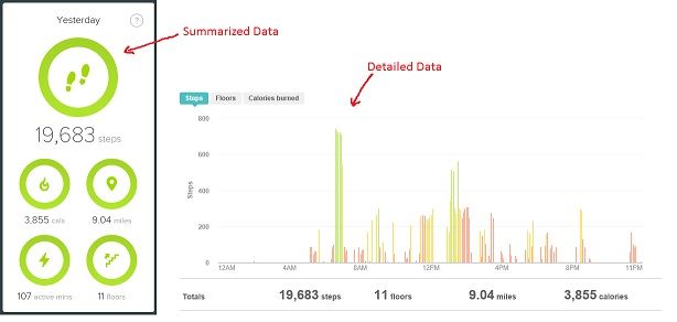 fitbit-summarized-vs-detailed.jpg