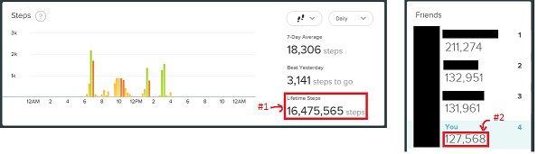 fitbit-lifetime-steps.jpg
