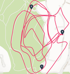 5 lap run in park
