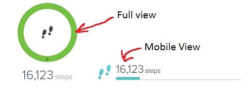 fitbit-steps-progress.jpg