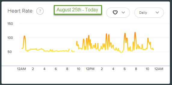 Spikes - ,2015-08-25.jpg