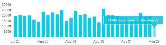 fitbit-stepgraph.jpg