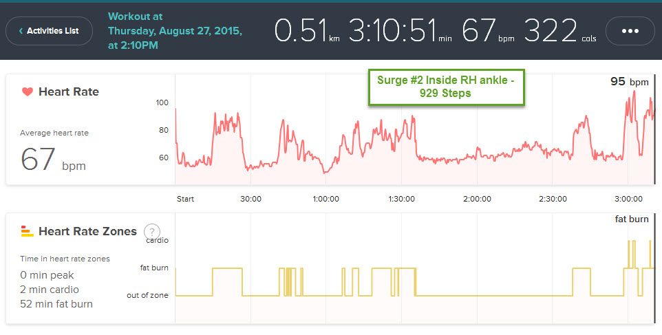 Surge 2 Ankle 15-08-27 -1.jpg