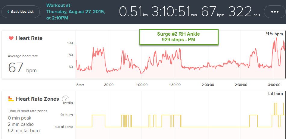 Surge 2 RH ankle -15-08-27 PM.jpg