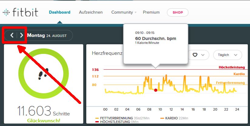 Dashboard Herzfrequenz vorige Tage