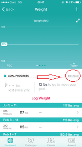 ios weight log.png