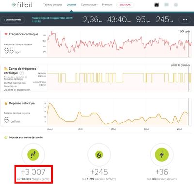 FitBit-Anomalie-synthese-activité.JPG