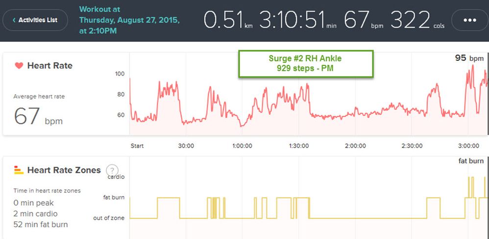 Surge 2 RH ankle -15-08-27 PM.jpg